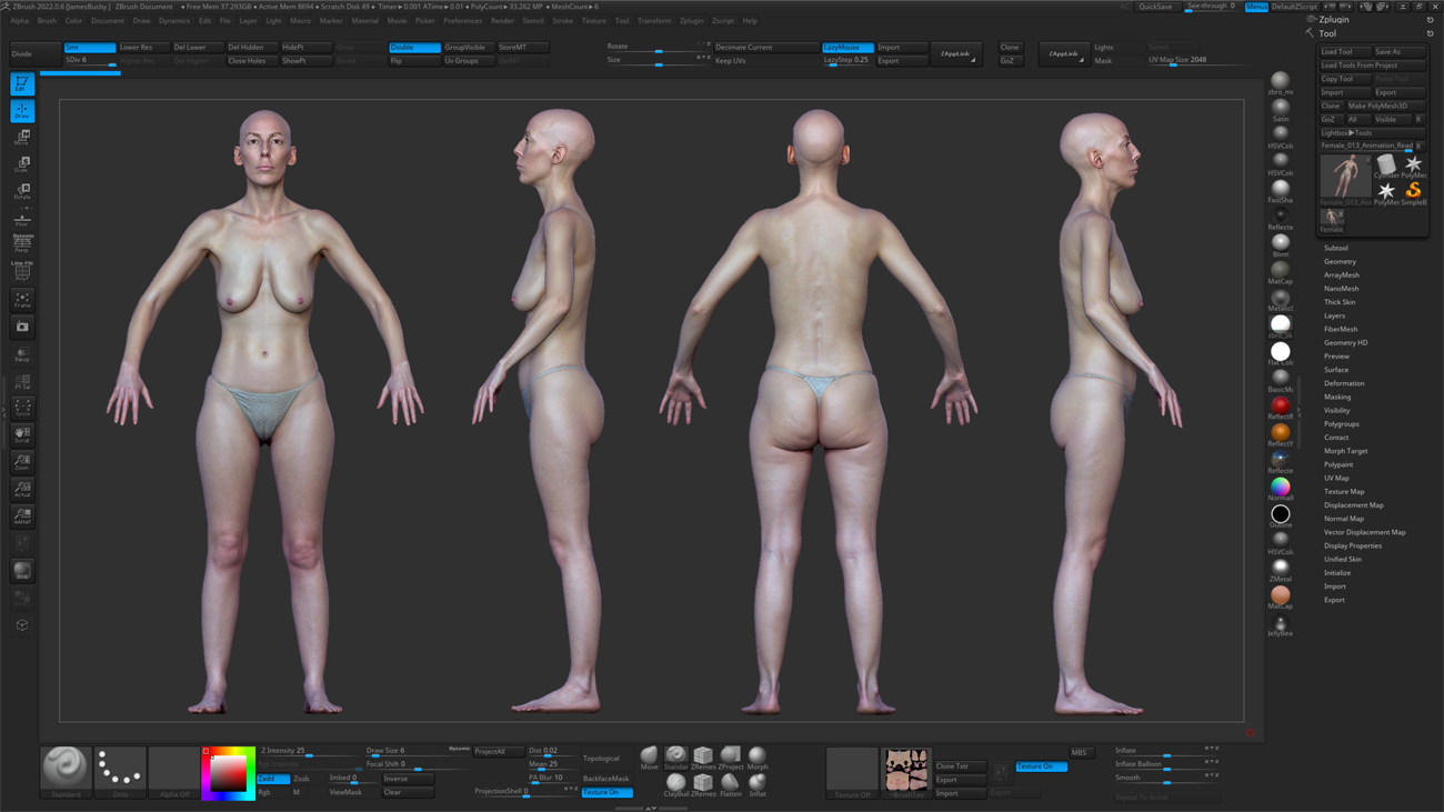 ZBrush ZTool render of a female 3D body scan at high subdivision level showing sculpt-ready mesh detail
